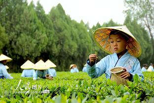 国王队记：今天的SGA就像巅峰时期的哈登一样不断站上罚球线